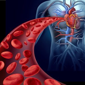 blood circulation