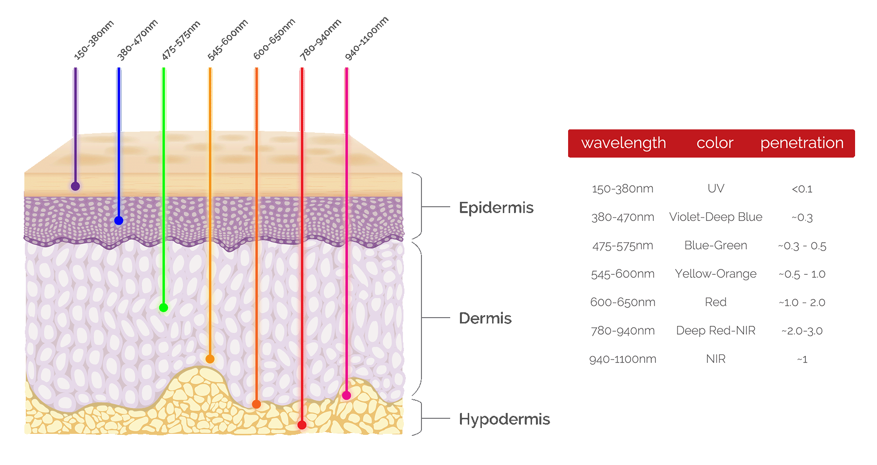 Skin-Heat-Penetration-noBackground_rev1839